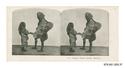 Image - STEREOGRAPH#37