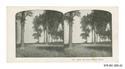 Image - STEREOGRAPH#42