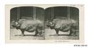 Image - STEREOGRAPH#45