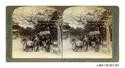 Image - STEREOGRAPH#21