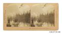 Image - STEREOGRAPH#66