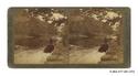Image - STEREOGRAPH#72
