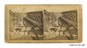 Image - STEREOGRAPH#80