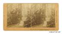 Image - STEREOGRAPH#97