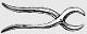 tenaille-pince, illustration. Pearson Scott Foresman, Wikimedia Commons
